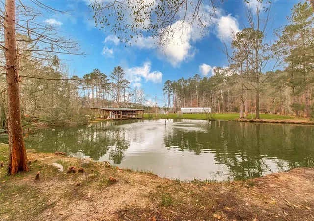 Homes for sale in Independence, LA | 32071 Horseshoe Rd N, Independence, LA 70443 | MLS# 2543789