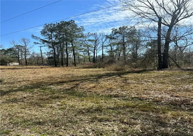 Photo 3 of Land for sale at 12436 Dusty Ln, Tickfaw, LA 70466 | MLS# 2543863 | Listing updated on 2026-08-02