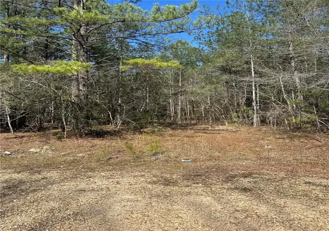 Photo 4 of Land for sale at 12436 Dusty Ln, Tickfaw, LA 70466 | MLS# 2543863 | Listing updated on 2026-08-02