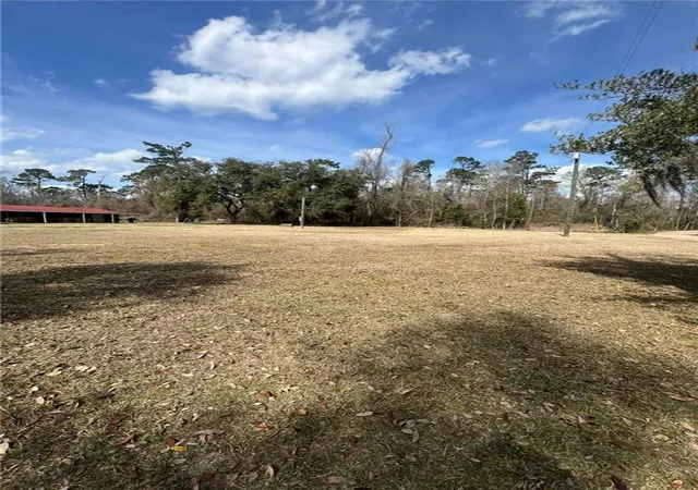 Homes for sale in Springfield, LA | 16683 Meissner Rd, Springfield, LA 70462 | MLS# 2543951