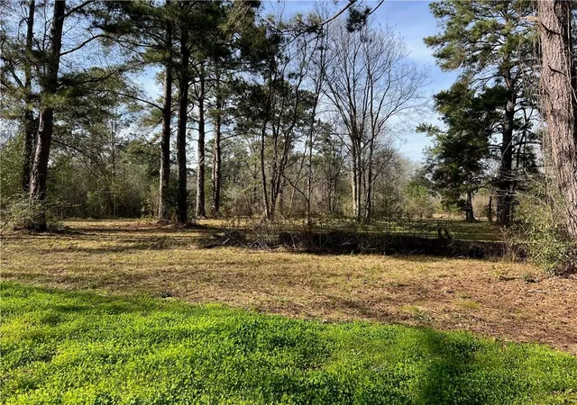 10th image of W Yellow Water Rd, Hammond, LA 70403 | MLS# 2544288