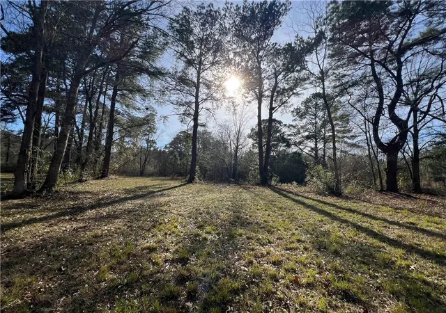 4th image of W Yellow Water Rd, Hammond, LA 70403 | MLS# 2544288