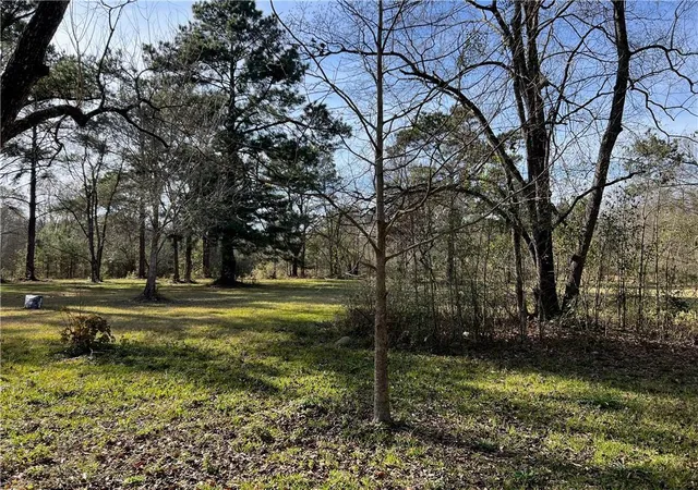 5th image of W Yellow Water Rd, Hammond, LA 70403 | MLS# 2544288