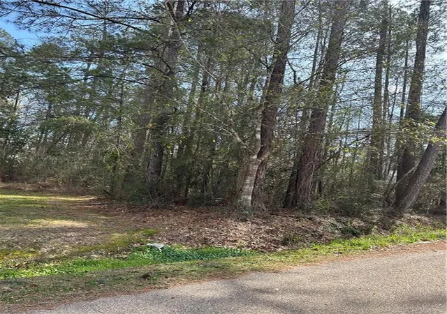 Photo 2 of Land for sale at 60312 Cerise Dr, Lacombe, LA 70445 | MLS# 2544706 | Listing updated on 2026-07-23