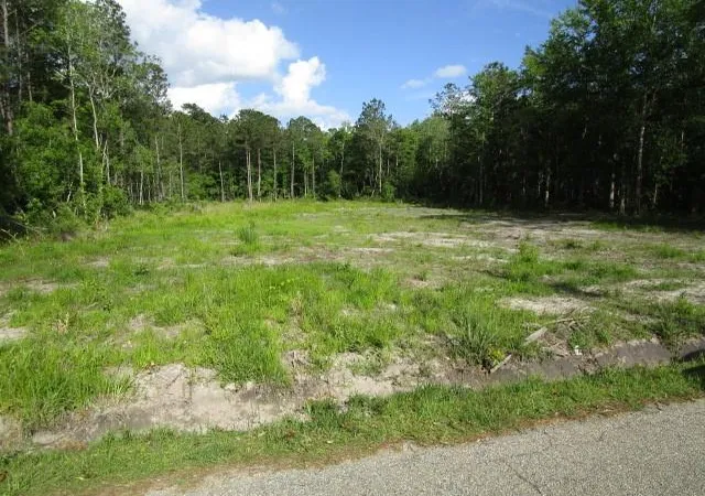 Homes for sale in Pearl River, LA | 0 Smith Rd, Pearl River, LA 70452 | MLS# 2544702