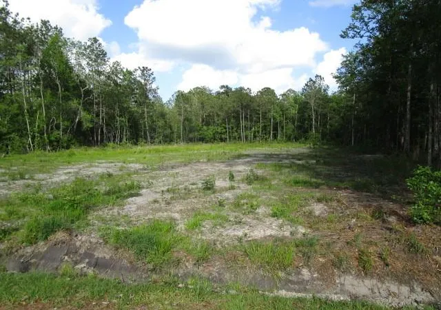 Homes for sale in Pearl River, LA | 0 Smith Rd, Pearl River, LA 70452 | MLS# 2544702