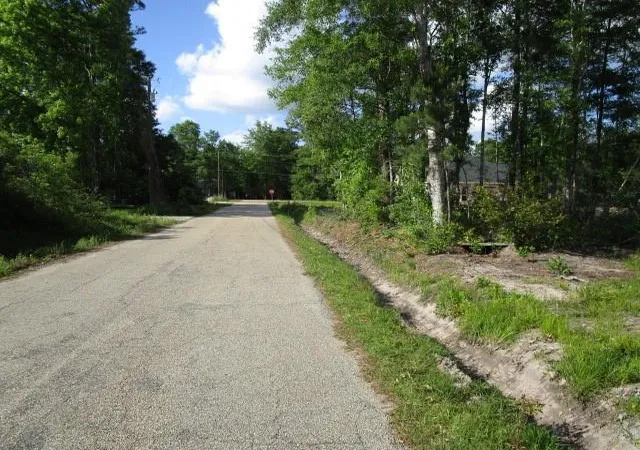 Homes for sale in Pearl River, LA | 0 Smith Rd, Pearl River, LA 70452 | MLS# 2544702