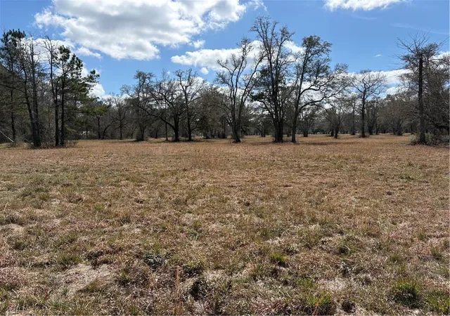 Photo 1 of Land for sale at 999 Teat Blackwell Rd, Pearl River, LA 70452 | MLS# 2545608 | Listing updated on 2026-06-30