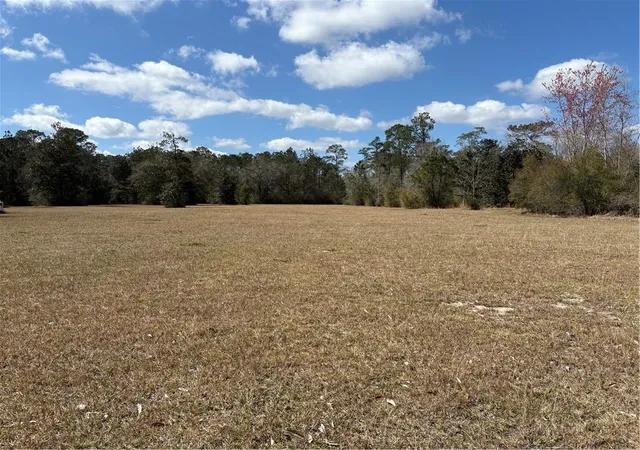 Photo 1 of Land for sale at 65245 La Hwy 41, Pearl River, LA 70452 | MLS# 2545639 | Listing updated on 2026-05-11