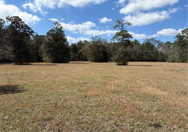 Photo 2 of Land for sale at 65245 La Hwy 41, Pearl River, LA 70452 | MLS# 2545639 | Listing updated on 2026-05-11