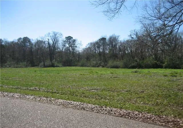 Photo 1 of Land for sale at 15726 Professional Plz, Hammond, LA 70403 | MLS# 2545963 | Listing updated on 2026-04-20