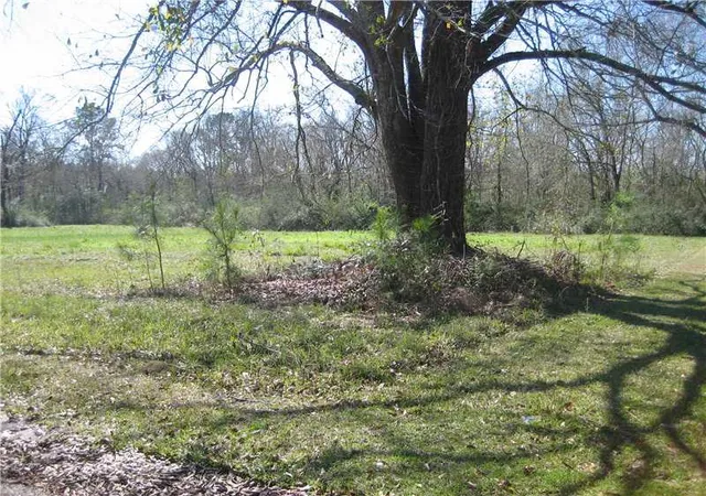 Photo 2 of Land for sale at 15726 Professional Plz, Hammond, LA 70403 | MLS# 2545963 | Listing updated on 2026-04-20