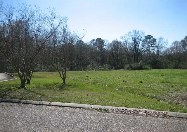 Photo 3 of Land for sale at 15726 Professional Plz, Hammond, LA 70403 | MLS# 2545963 | Listing updated on 2026-04-20