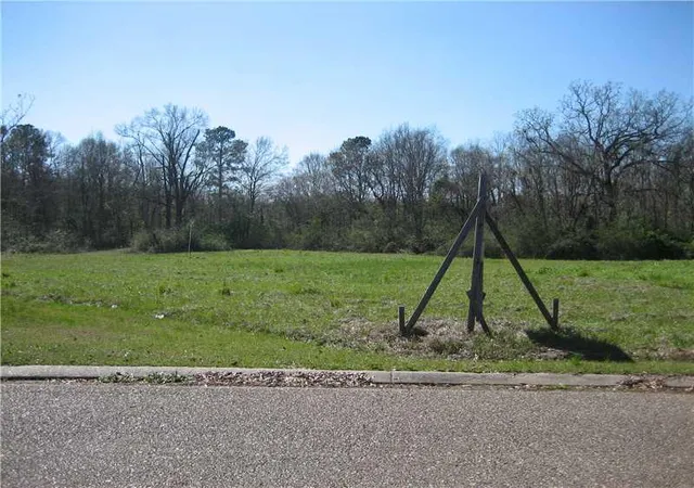 Photo 3 of Land for sale at 15726 Professional Plz, Hammond, LA 70403 | MLS# 2545963 | Listing updated on 2026-04-20