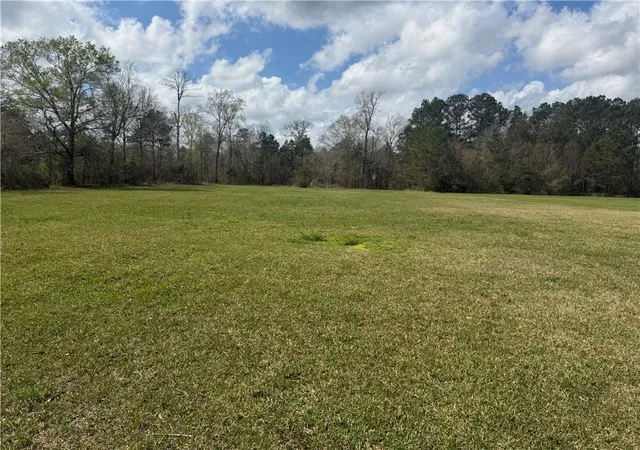 1st image of Tbd Palmisano Dr, Hammond, LA 70403 | MLS# 2545503