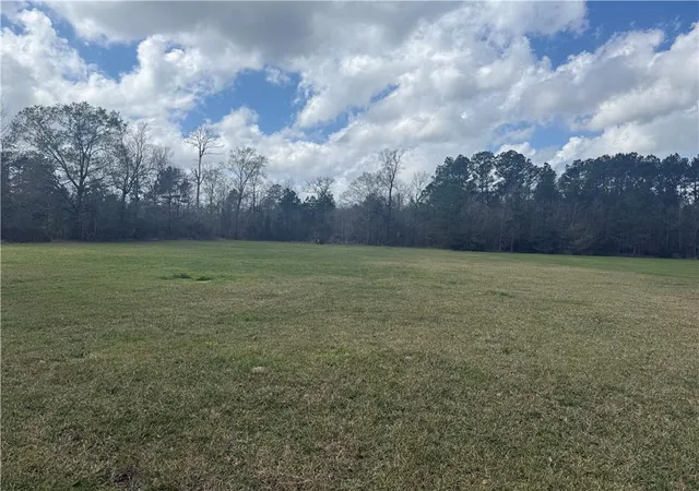 3rd image of Tbd Palmisano Dr, Hammond, LA 70403 | MLS# 2545503