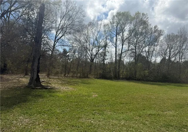 4th image of Tbd Palmisano Dr, Hammond, LA 70403 | MLS# 2545503