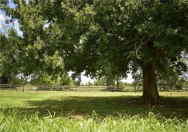 Photo 4 of Land for sale at Twin Oaks Dr Lot 1, Raceland, LA 70394 | MLS# 2547112 | Listing updated on 2026-03-11