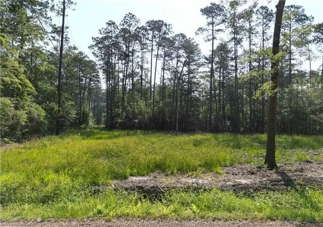 2nd image of Lot 10 Iron St, Abita Springs, LA 70420 | MLS# 2547265