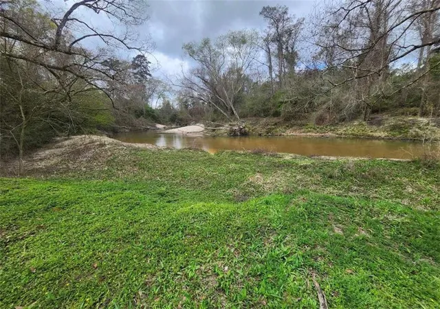 Photo 2 of Land for sale at 33979 Highway 441, Holden, LA 70744 | MLS# 2547344 | Listing updated on 2026-03-13