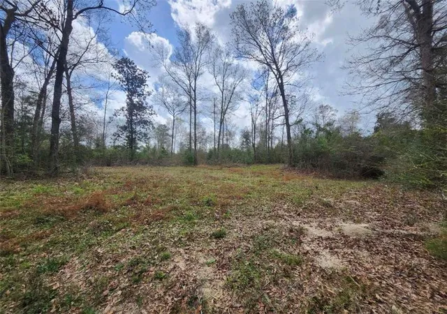 Photo 2 of Land for sale at 33979 Highway 441, Holden, LA 70744 | MLS# 2547344 | Listing updated on 2026-03-13