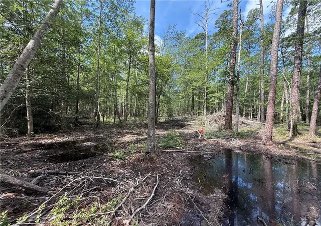 2nd image of 0 Ronald Reagan Hwy, Covington, LA 70433 | MLS# 2547257