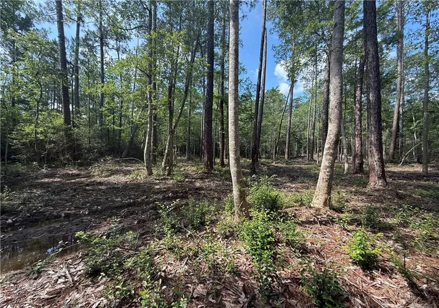 3rd image of 0 Ronald Reagan Hwy, Covington, LA 70433 | MLS# 2547257