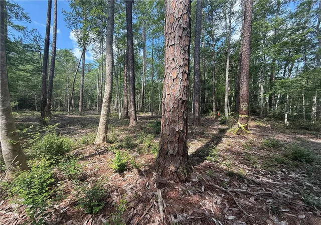 4th image of 0 Ronald Reagan Hwy, Covington, LA 70433 | MLS# 2547257