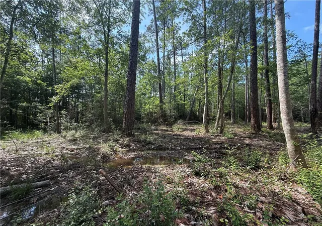 5th image of 0 Ronald Reagan Hwy, Covington, LA 70433 | MLS# 2547257