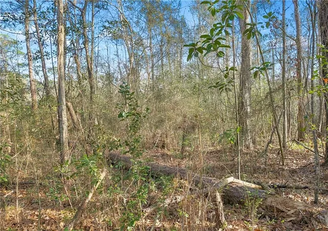 Photo 3 of Land for sale at 0 Javery Rd, Pearl River, LA 70460 | MLS# 2541810 | Listing updated on 2026-05-11