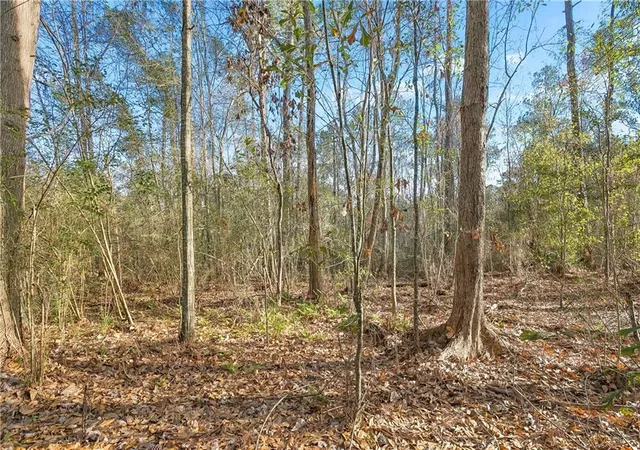 Photo 4 of Land for sale at 0 Javery Rd, Pearl River, LA 70460 | MLS# 2541810 | Listing updated on 2026-05-11