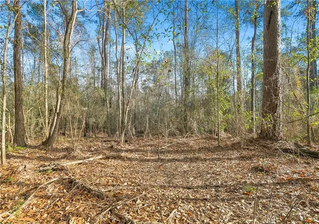Photo 6 of Land for sale at 0 Javery Rd, Pearl River, LA 70460 | MLS# 2541810 | Listing updated on 2026-05-11