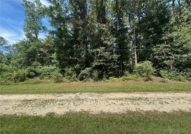 Homes for sale in Independence, LA | Tbd Tract 4 Ragusa Rd, Independence, LA 70443 | MLS# 2547976