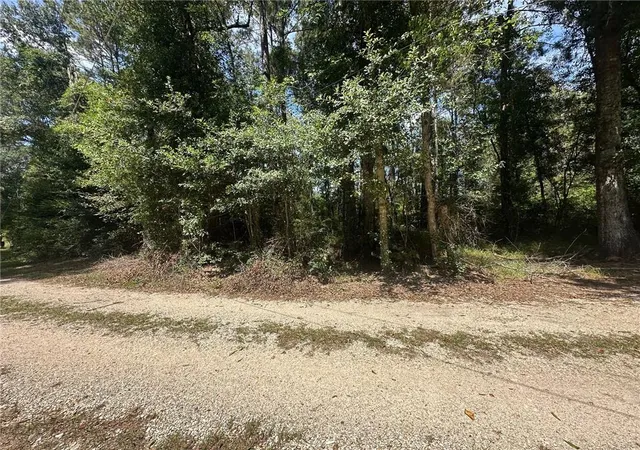 Homes for sale in Independence, LA | Tbd Tract 4 Ragusa Rd, Independence, LA 70443 | MLS# 2547976