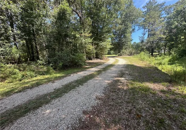 Homes for sale in Independence, LA | Tbd Tract 4 Ragusa Rd, Independence, LA 70443 | MLS# 2547976