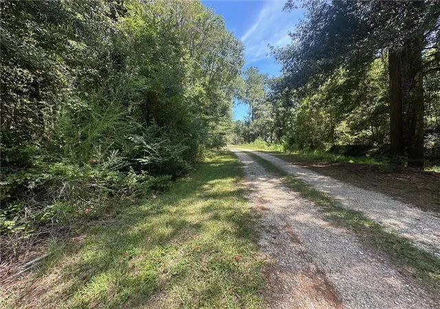 Homes for sale in Independence, LA | Tbd Tract 4 Ragusa Rd, Independence, LA 70443 | MLS# 2547976
