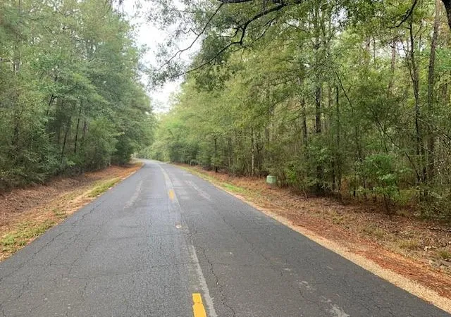 Photo 1 of Land for sale at 0 Traino Rd, Ponchatoula, LA 70454 | MLS# 2548171 | Listing updated on 2026-06-08