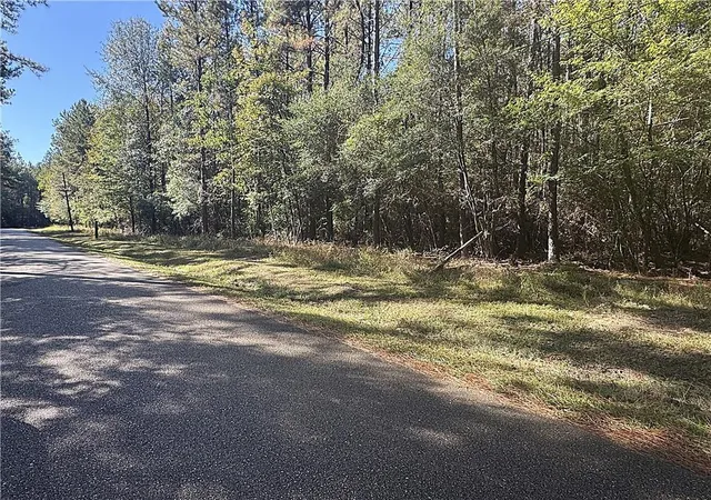 Homes for sale in Folsom, LA | 12 Acres Bruhl Rd, Folsom, LA 70437 | MLS# 2546836