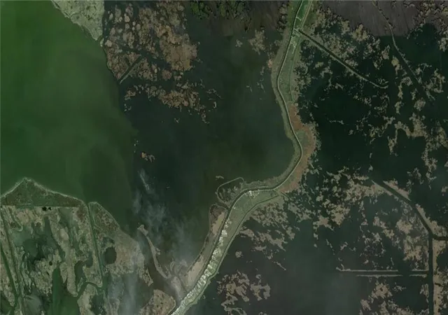 Photo 4 of Land for sale at 0 Delacroix Hwy, St Bernard, LA 70130 | MLS# 2548847 | Listing updated on 2026-03-24
