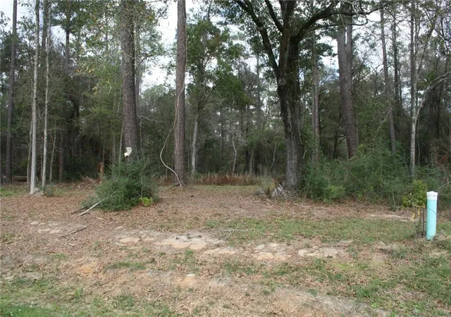 2nd image of 21141 Little River Ct, Covington, LA 70435 | MLS# 2549111