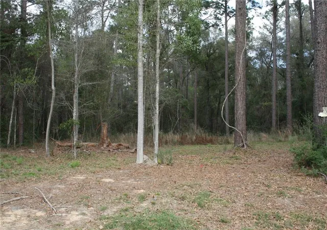 3rd image of 21141 Little River Ct, Covington, LA 70435 | MLS# 2549111