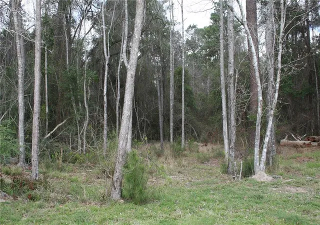 4th image of 21141 Little River Ct, Covington, LA 70435 | MLS# 2549111