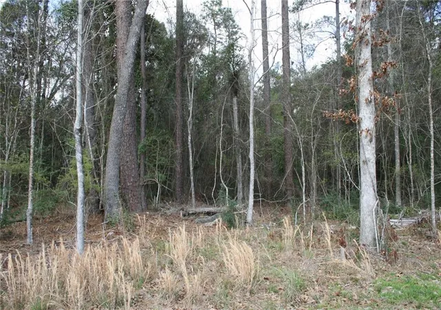 Photo 1 of Land for sale at 21149 Little River Ct, Covington, LA 70435 | MLS# 2549121 | Listing updated on 2026-04-06
