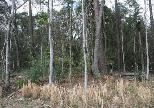 Photo 2 of Land for sale at 21149 Little River Ct, Covington, LA 70435 | MLS# 2549121 | Listing updated on 2026-04-06
