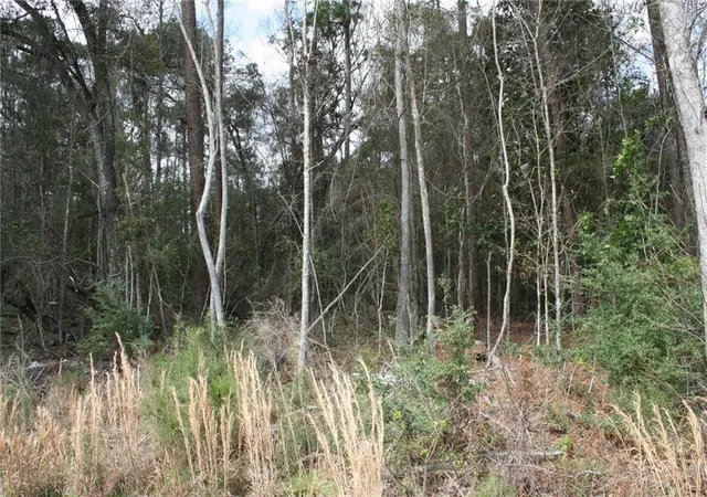 Photo 3 of Land for sale at 21149 Little River Ct, Covington, LA 70435 | MLS# 2549121 | Listing updated on 2026-04-06