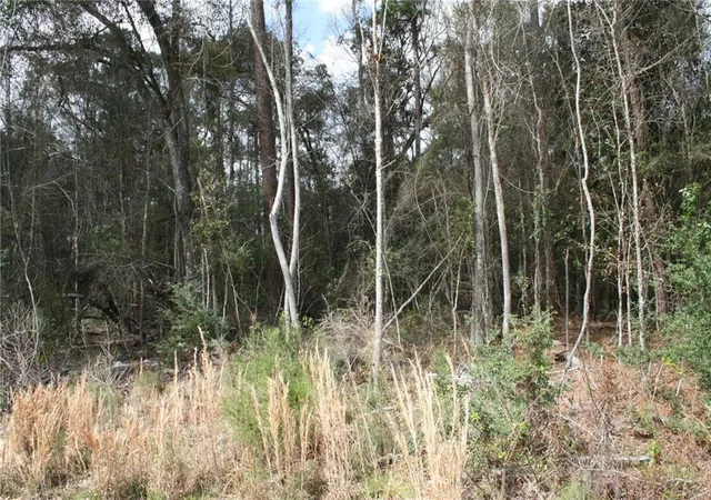 Photo 3 of Land for sale at 21149 Little River Ct, Covington, LA 70435 | MLS# 2549121 | Listing updated on 2026-04-06