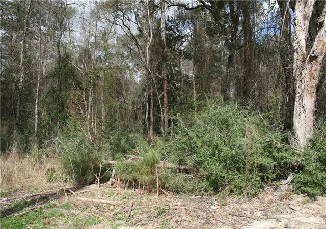 Photo 4 of Land for sale at 21149 Little River Ct, Covington, LA 70435 | MLS# 2549121 | Listing updated on 2026-04-06