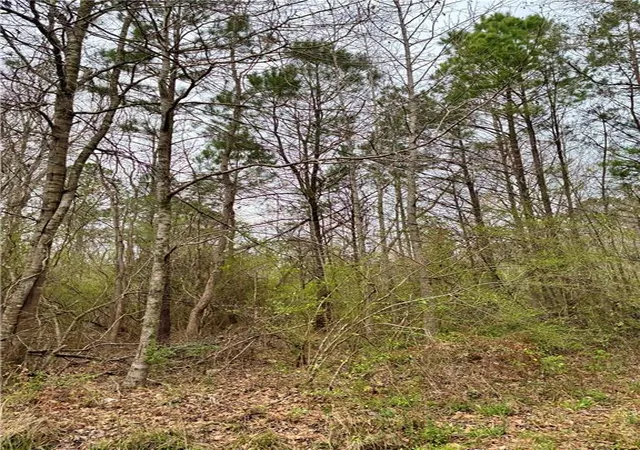 Photo 3 of Land for sale at 0 Rose St, Covington, LA 70435 | MLS# 2548987 | Listing updated on 2026-07-29
