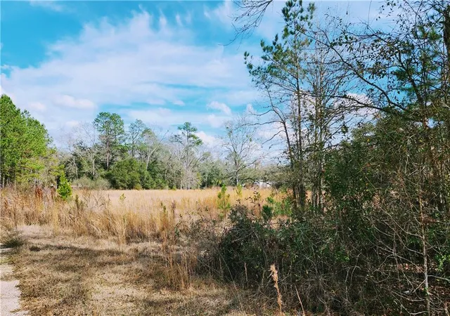 1st image of La Hwy 25 Hwy, Covington, LA 70435 | MLS# 2549532