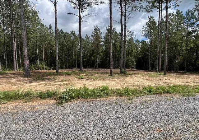 Photo 2 of Land for sale at Lot 4 Highway 25, Franklinton, LA 70438 | MLS# 2550586 | Listing updated on 2026-03-31